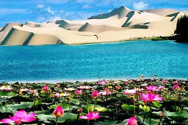 Bao Tien Mini Khách sạn 2*